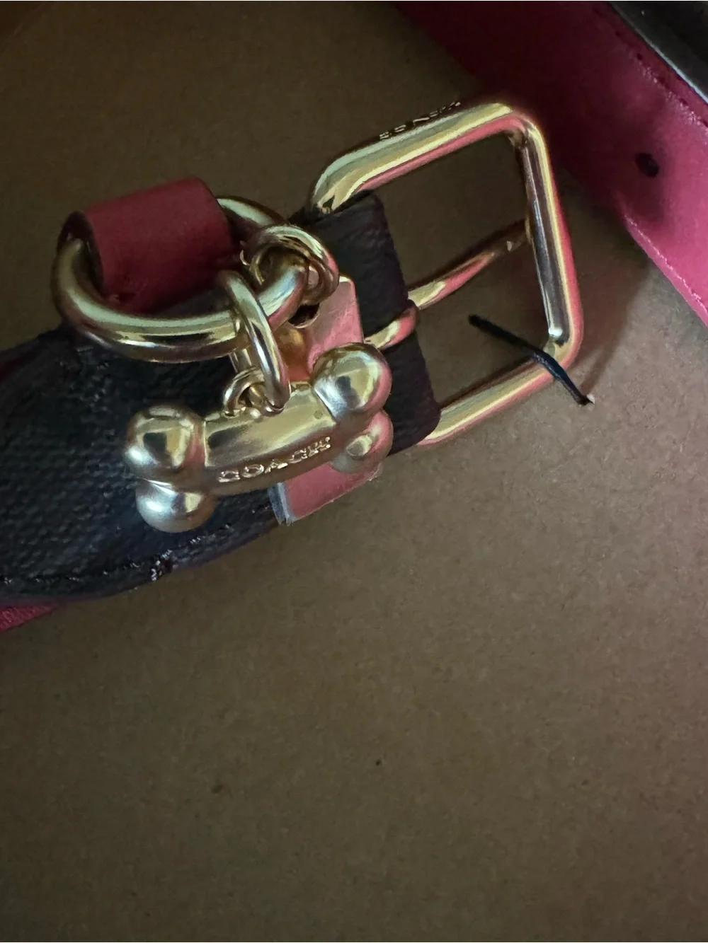 NWT Coach Signature Leather Dog Collar Brown Red Gold w/Charm LARGE 17” - 21”